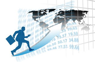 开云app入口-中国篮球职业联赛赛事运营风险评估与管理对策，篮球赛事安全风险